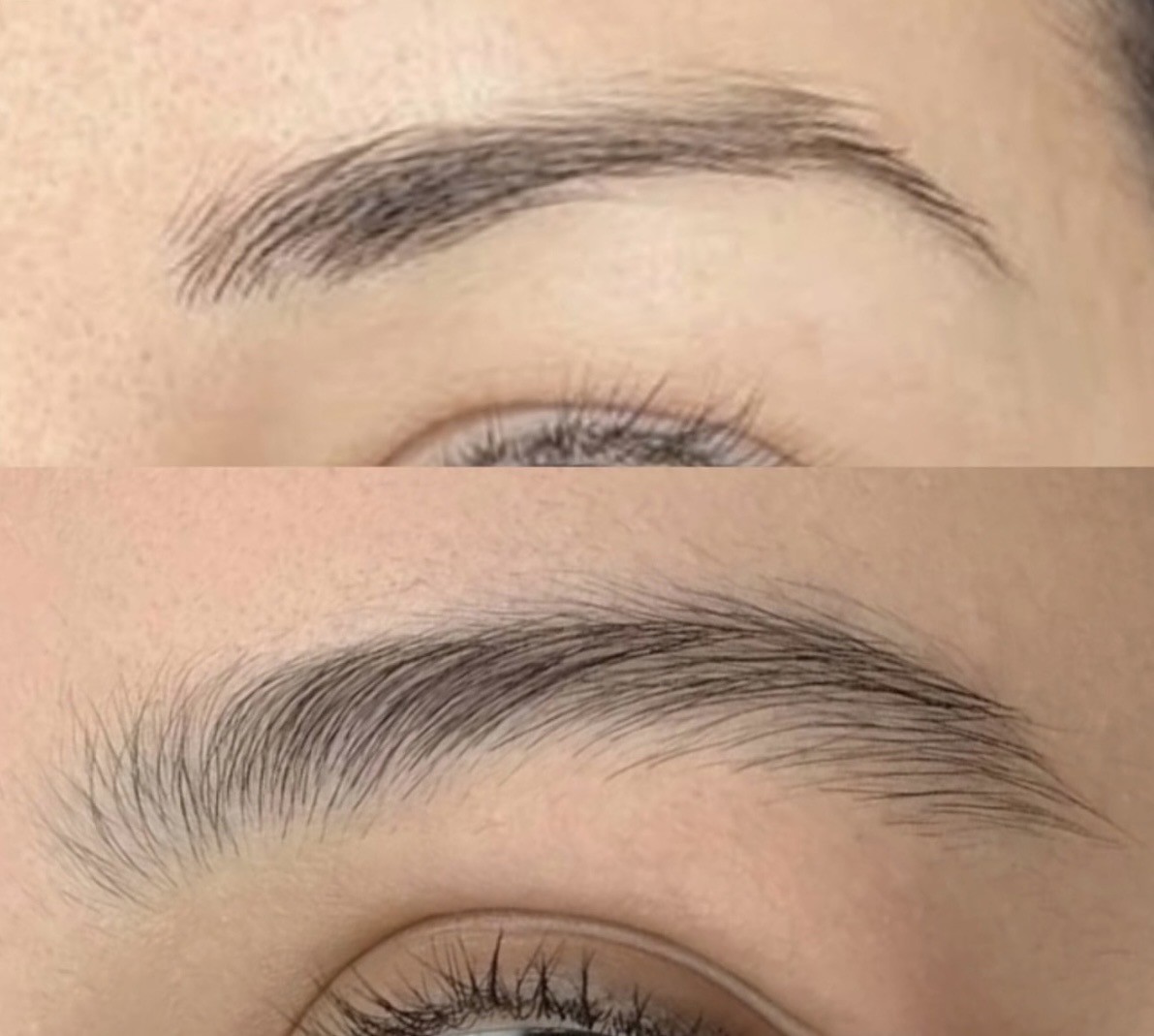 Avant/après ExoBrows, cas cliente 2